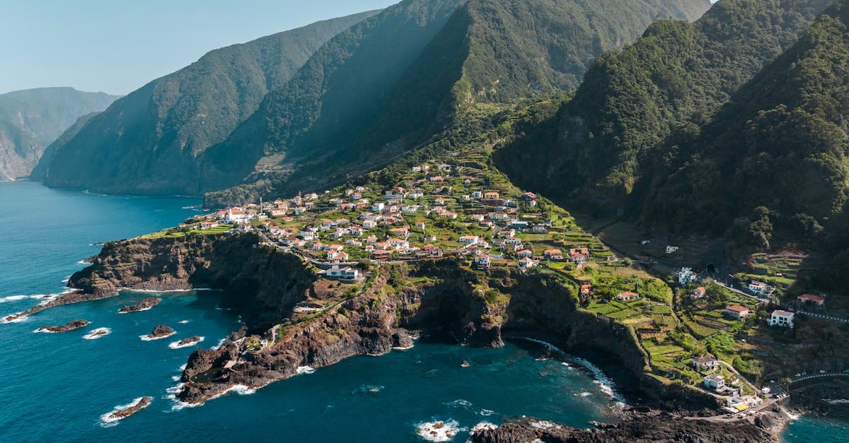 Madeira Urlaub: Der komplette Reiseführer für Deutsche Urlauber Artikelvorschau