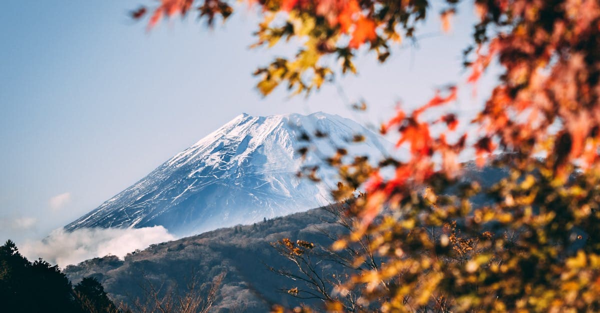 Mount Fuji framed by vibrant autumn foliage, a highlight of Japan's four seasons for Singapore travellers.