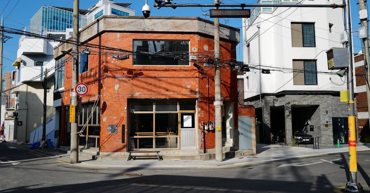 아사쿠사, 긴자, 츠키지 일대 도쿄 맛집 거리, 따뜻한 햇살 아래 아기자기한 골목 풍경