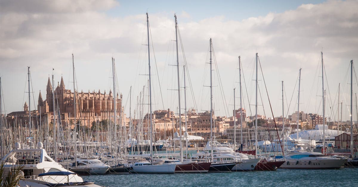 Jachthaven van Palma met zeilboten en de kathedraal op de achtergrond op een heldere dag.