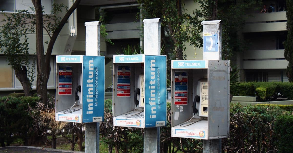 Three Telmex public telephone booths along a Mexico City sidewalk surrounded by lush green foliage