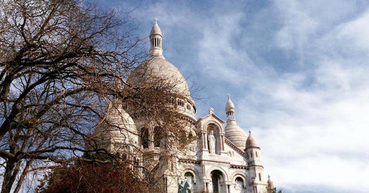 Basílica do Sacré-Cœur emoldurada por árvores sob céu azul durante o período mais frio em Paris