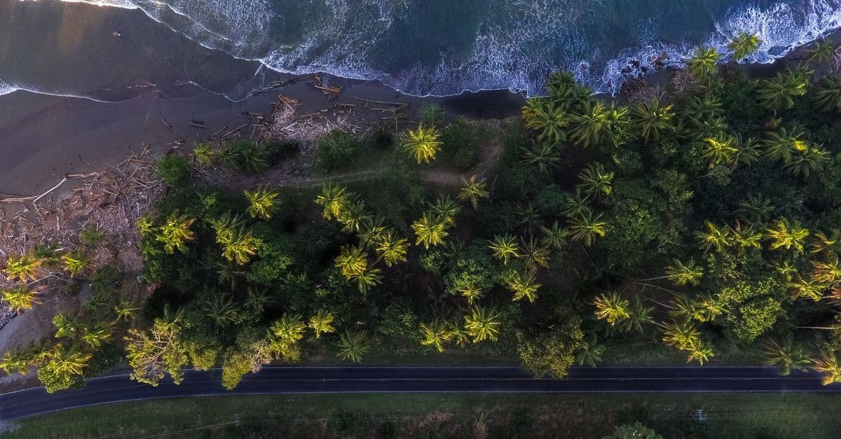 Vue aérienne d'une plage et d'une route côtière séparées par une bande de palmiers, dans la province de Limón, au Costa Rica.