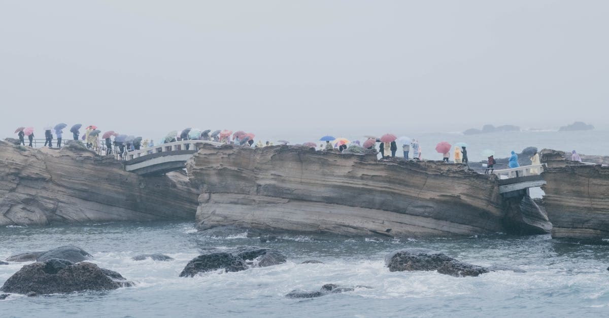 일본 날씨 우기와 태풍 시즌 안개 낀 다리 위에서 우산을 쓰고 걷는 여행객들