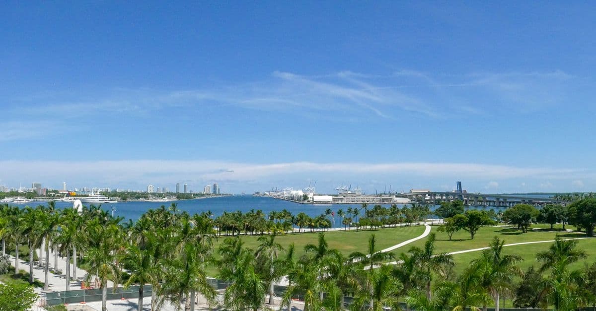 Parques verdes e céu azul emolduram o skyline de Miami, mostrando o que fazer em miami além das praias.