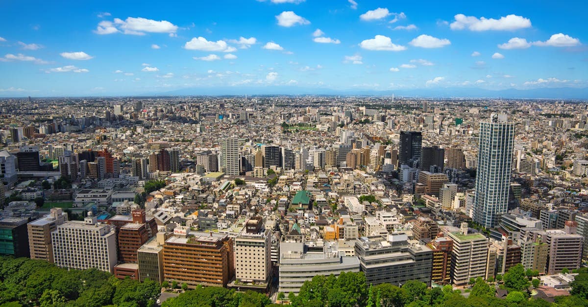 Rozległa panorama lotnicza Tokio – Japonia widziana z powietrza jako nowoczesna, tętniąca życiem metropolia