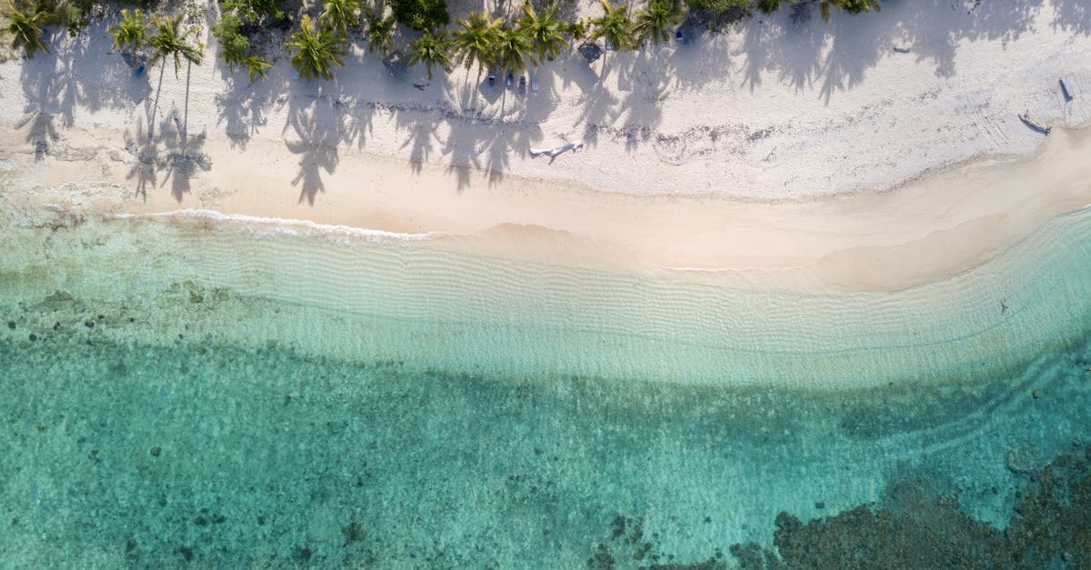 Aerial view of Rarotonga's lush tropical coastline, showing how the wet and dry seasons look from above