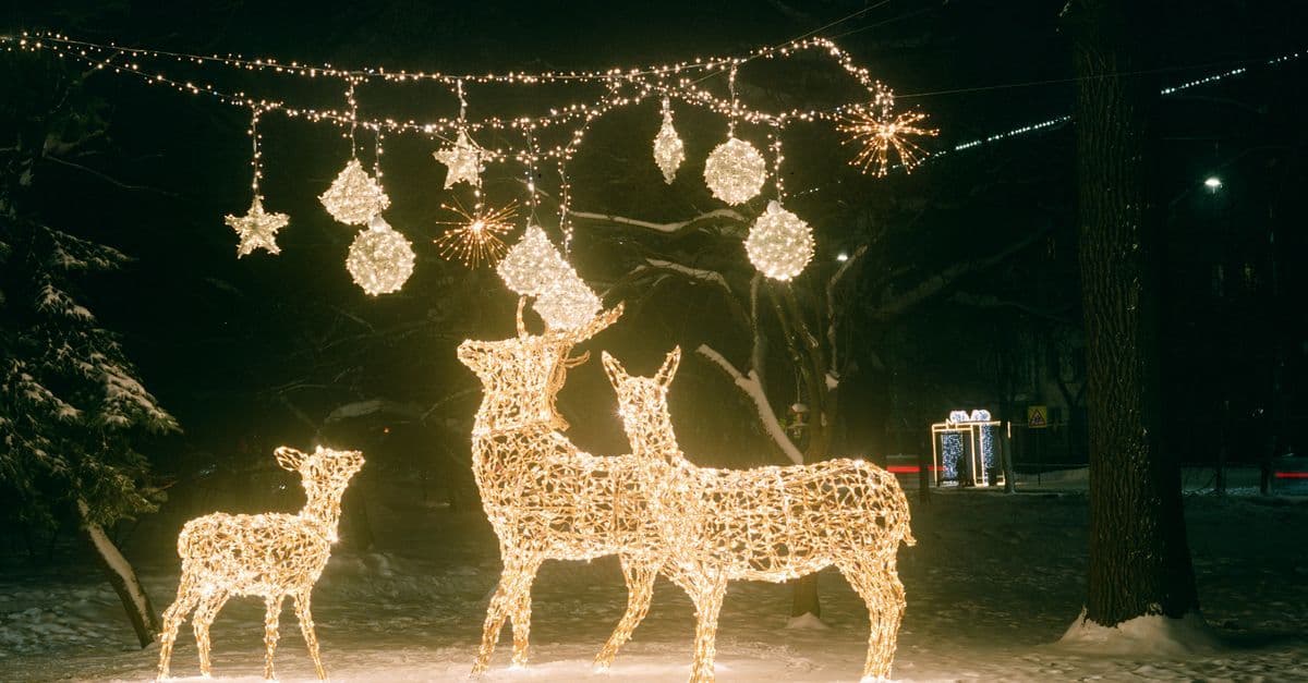 Lighted reindeer sculptures and hanging star ornaments glow in a snowy New York park at night.