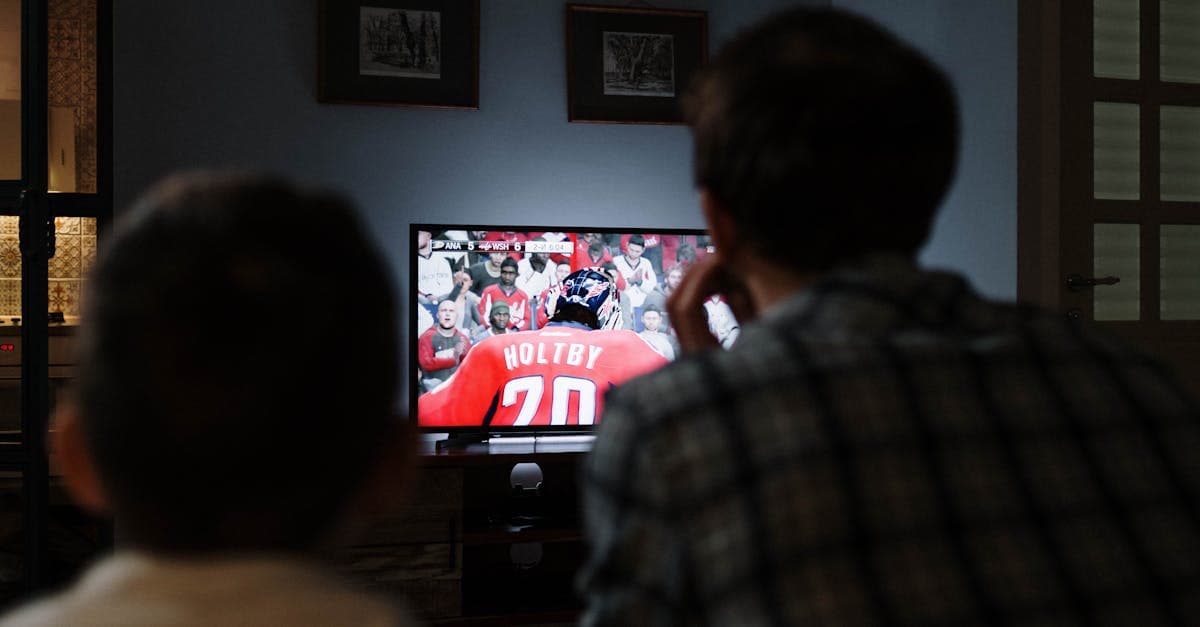 Vater und Sohn schauen gemeinsam ein Hockeyspiel im Wohnzimmer über ORF digital am Fernseher