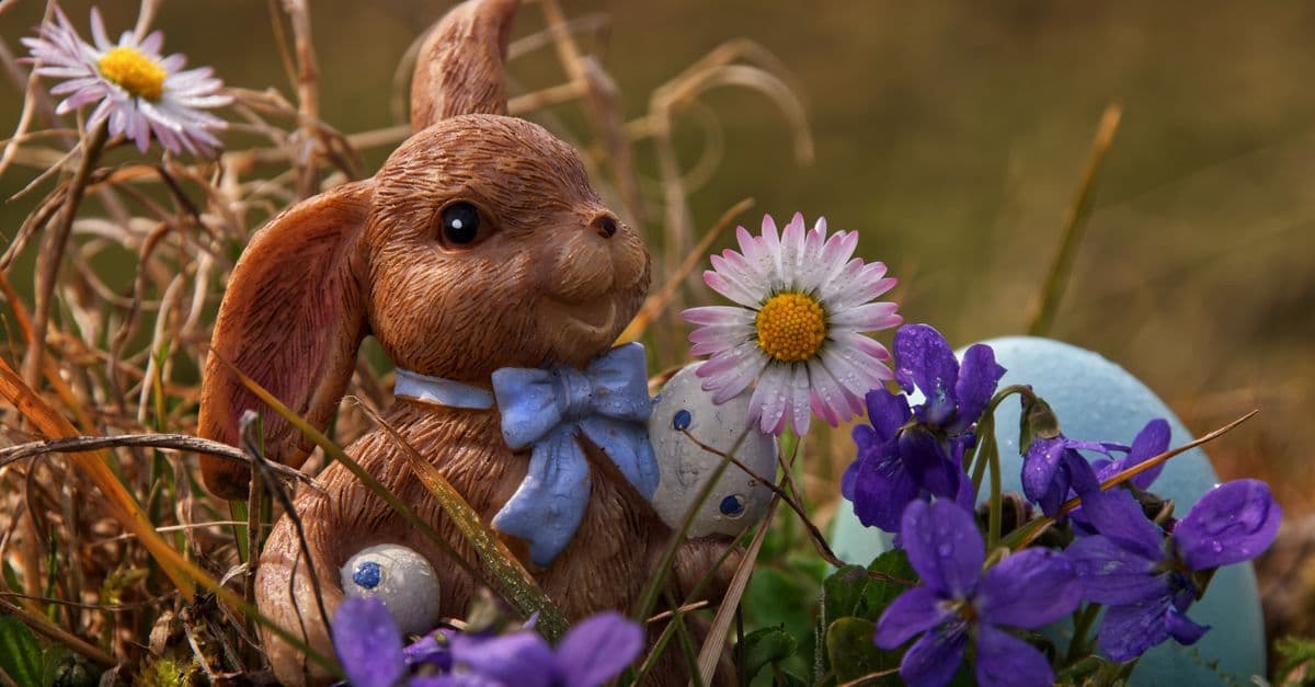 Coniglietto pasquale tra fiori primaverili e uova colorate, simbolo della Pasqua 2026.