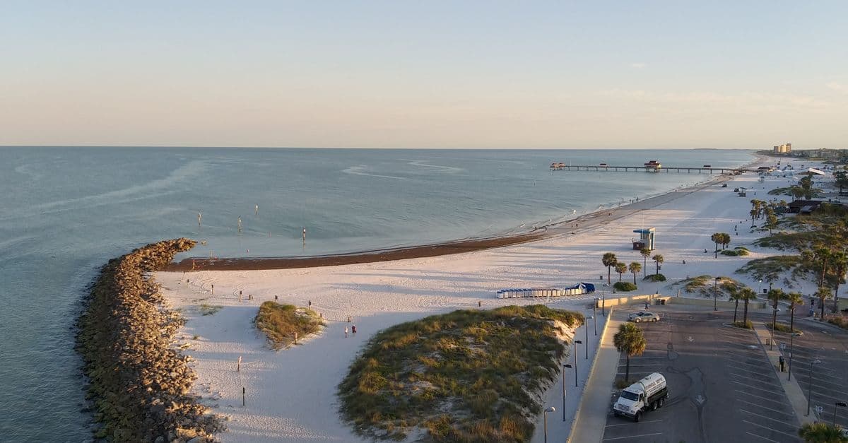 A quiet coastal beach curves beside a rocky jetty, with a distant pier and palm-lined parking area.