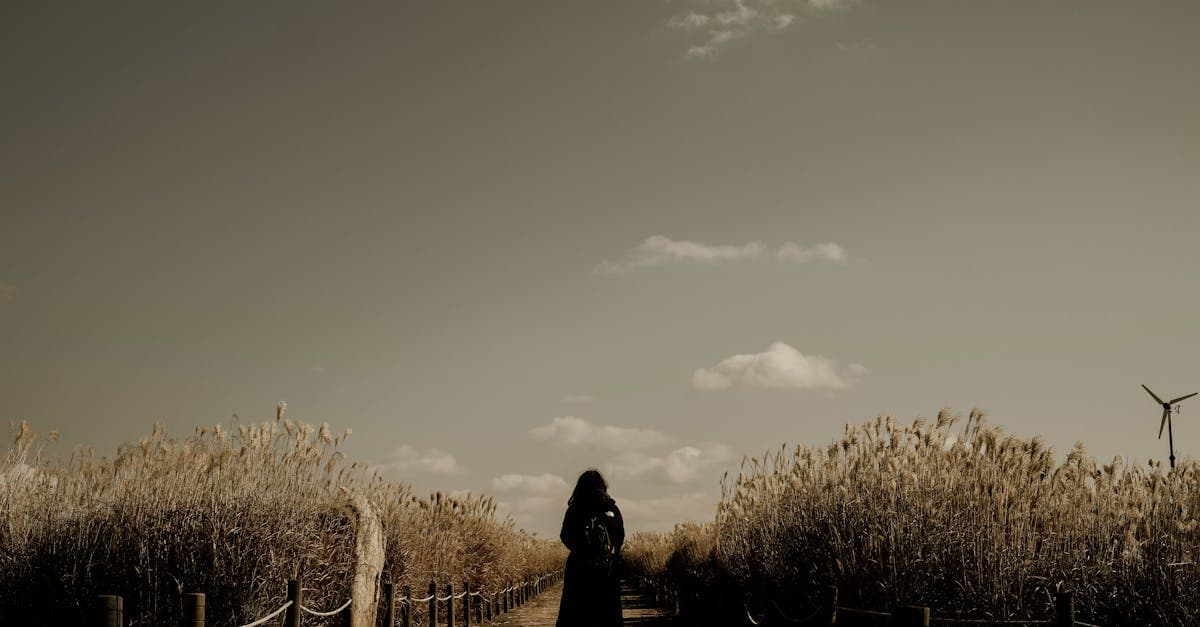 서울 풍차 길을 걷는 여행자, 혼자 여행이 선사하는 자유로움과 자기 발견의 순간을 상징