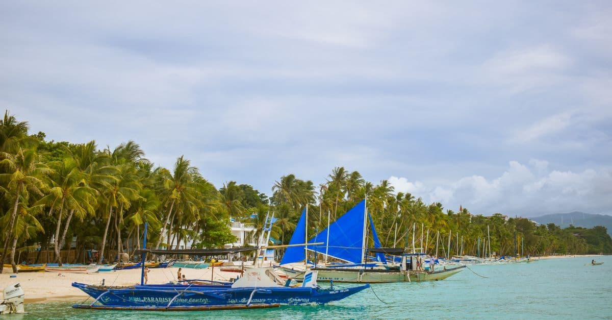 Barche tradizionali con vele blu riposano in acque turchesi davanti a una spiaggia orlata di palme.