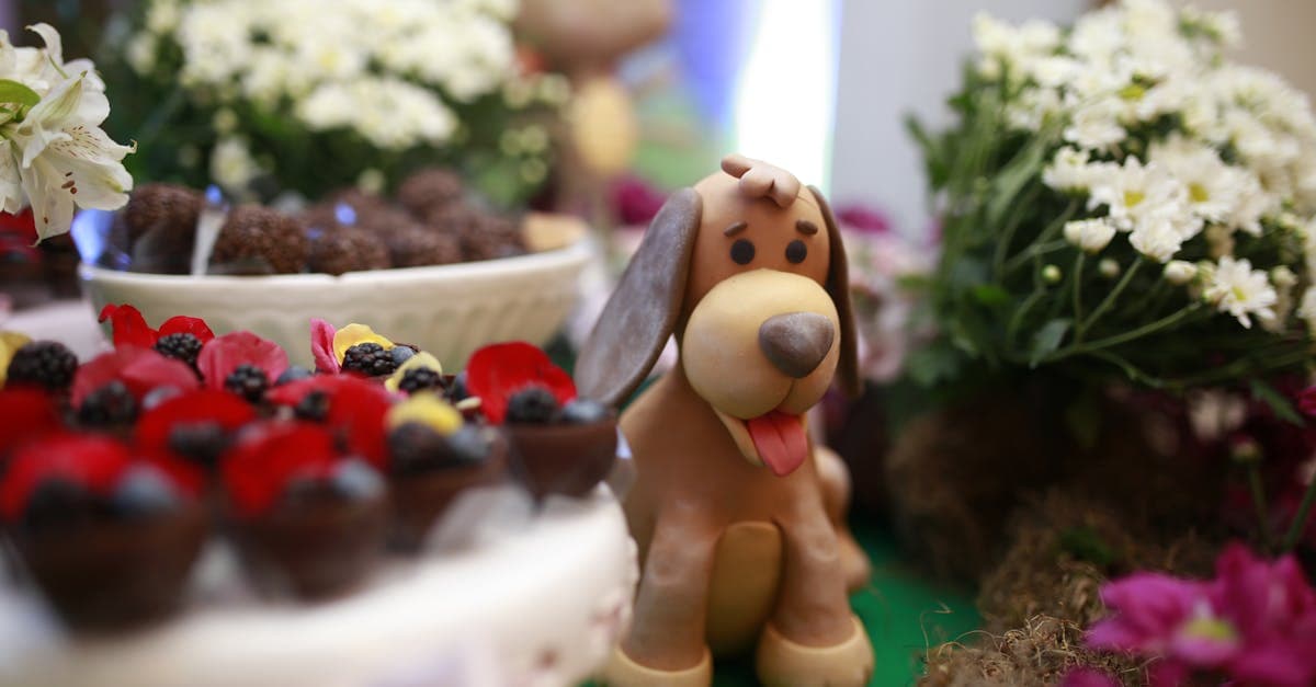 Perrito Fisher Price disponible para comprar en México junto a coloridos juguetes y accesorios infantiles.