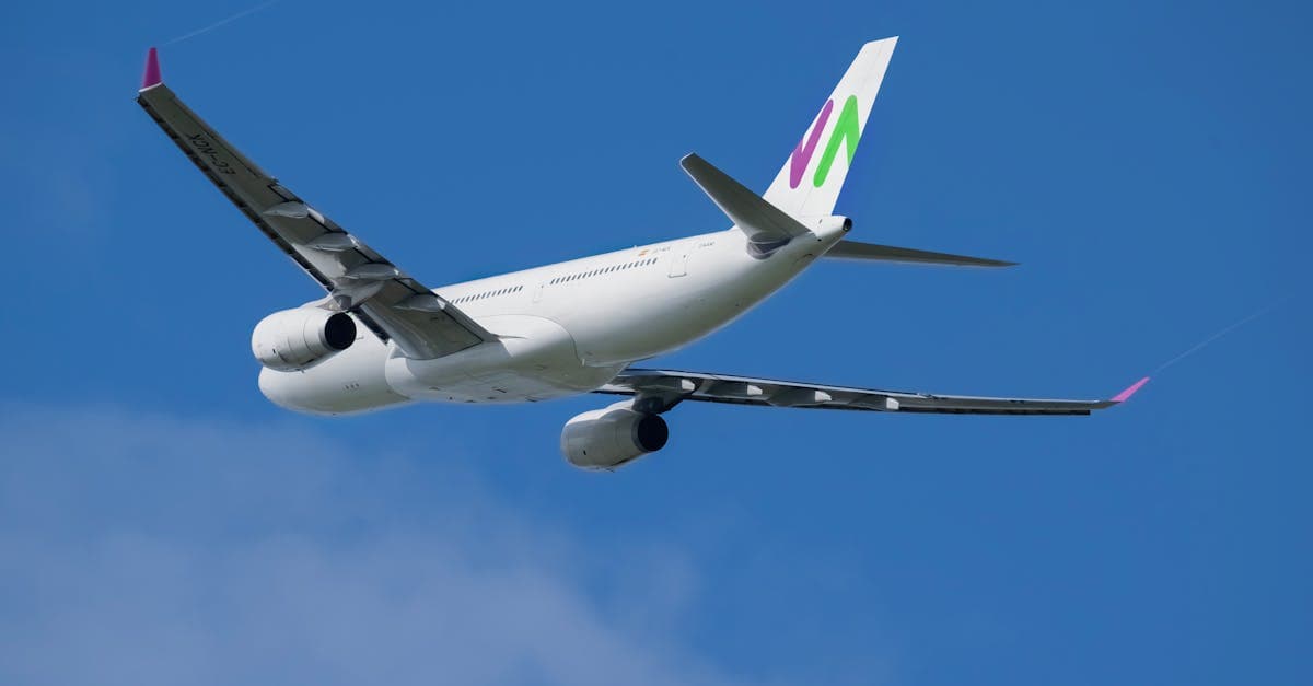 Commercial airplane in clear skies above Auckland, completing a smart budget flights New Zealand booking sequence.![image