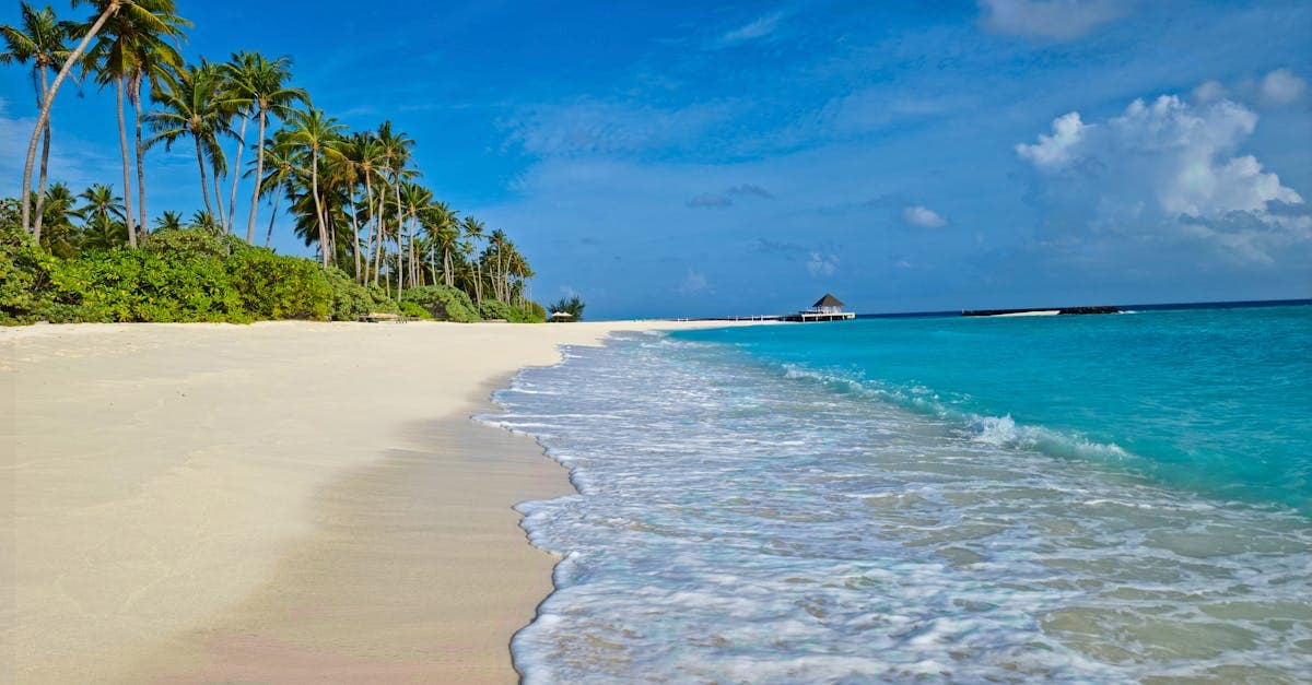 Pristine Maldivian beach with crystal-clear turquoise waters and swaying palm trees under bright blue skies