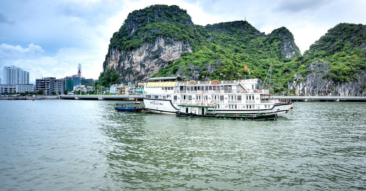 Thuyền và du thuyền halong bay cruise neo đậu giữa vịnh với hàng núi đá vôi thơ mộng