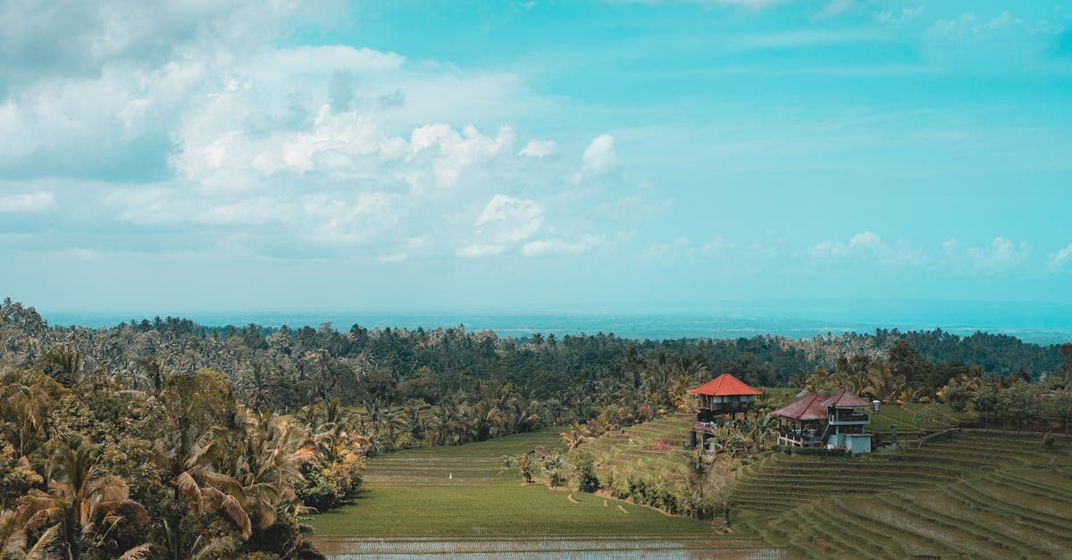 Pemandangan sawah terasering dan rumah tradisional Bali di Marga, paket wisata kelas memasak di Ubud