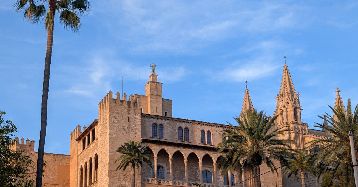 Gotische architectuur in Palma de Mallorca omgeven door palmbomen bij aangenaam weer Mallorca in april.