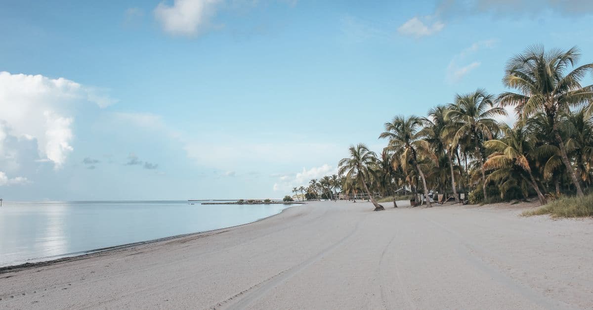 White sandy beach with swaying palm trees in Key West, showcasing Florida's varied coastal scenery.