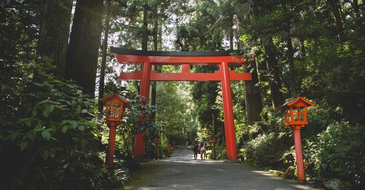 Red torii gate in Hakone's tranquil forest, perfect for planning the best time to visit Japan