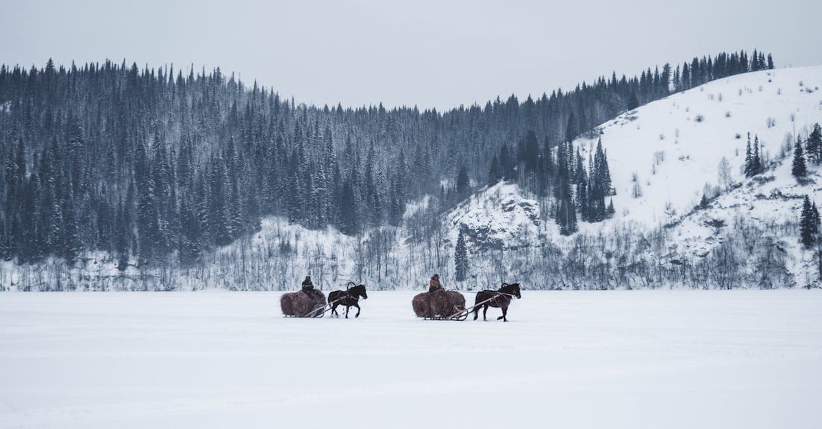 Horses pulling a hay-laden sled across a snow-covered frozen lake in a European winter landscape