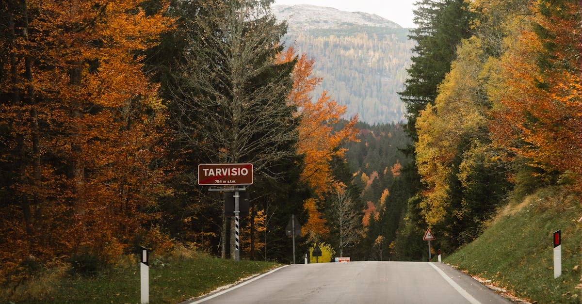 Strada autunnale verso Tarvisio tra colori vivaci e vette alpine, esempio perfetto di cosa significa fare un road trip