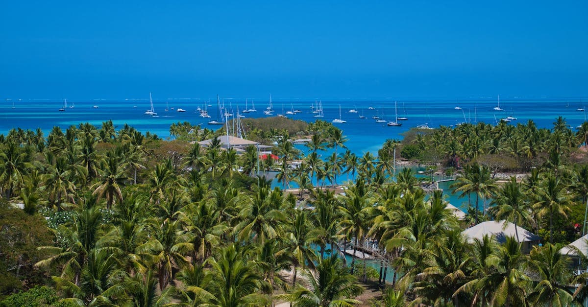 Lush Fiji island with palm trees and blue water, showing the best season for fiji holiday packages