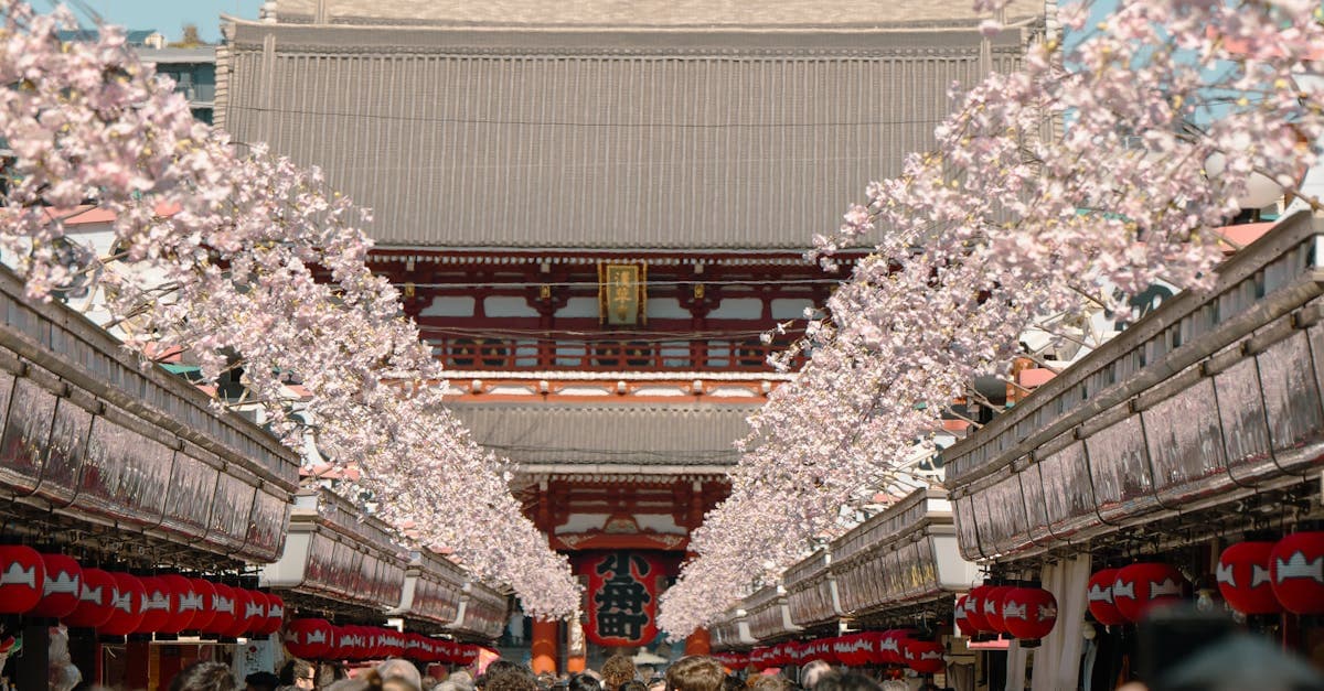 Cherry blossom crowds at Senso-ji Temple Tokyo, where planning ahead is essential for visiting Japan in 2026.