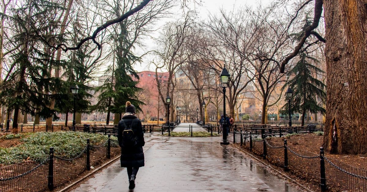 Pessoa caminha entre árvores sem folhas no Washington Square Park durante o inverno frio de Nova York