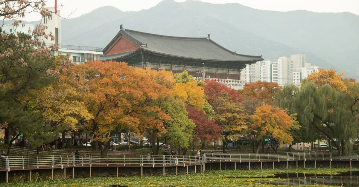 오사카 날씨 여행 황금기인 가을, 화려한 단풍과 전통 건축물이 조화를 이루는 아름다운 풍경