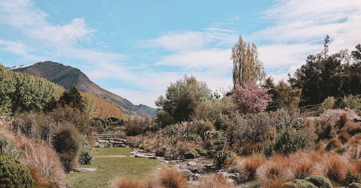 Lush green hills and mountains surrounding Queenstown during the best season to travel to New Zealand.