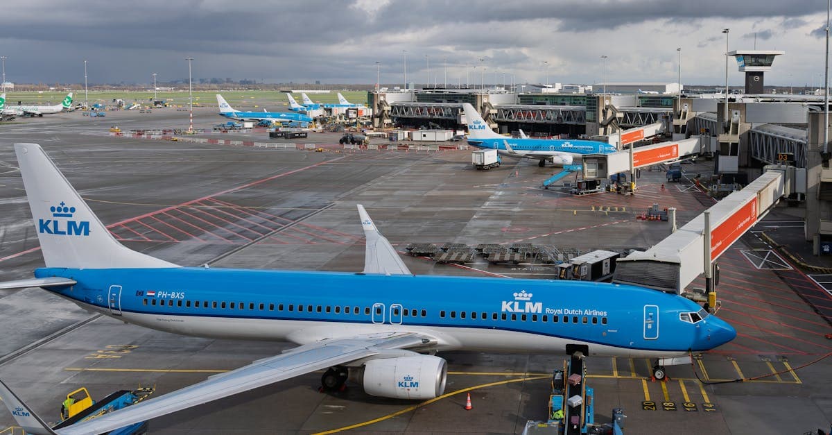 View of KLM planes at Schiphol Airport, highlighting airport operations and aviation activity.