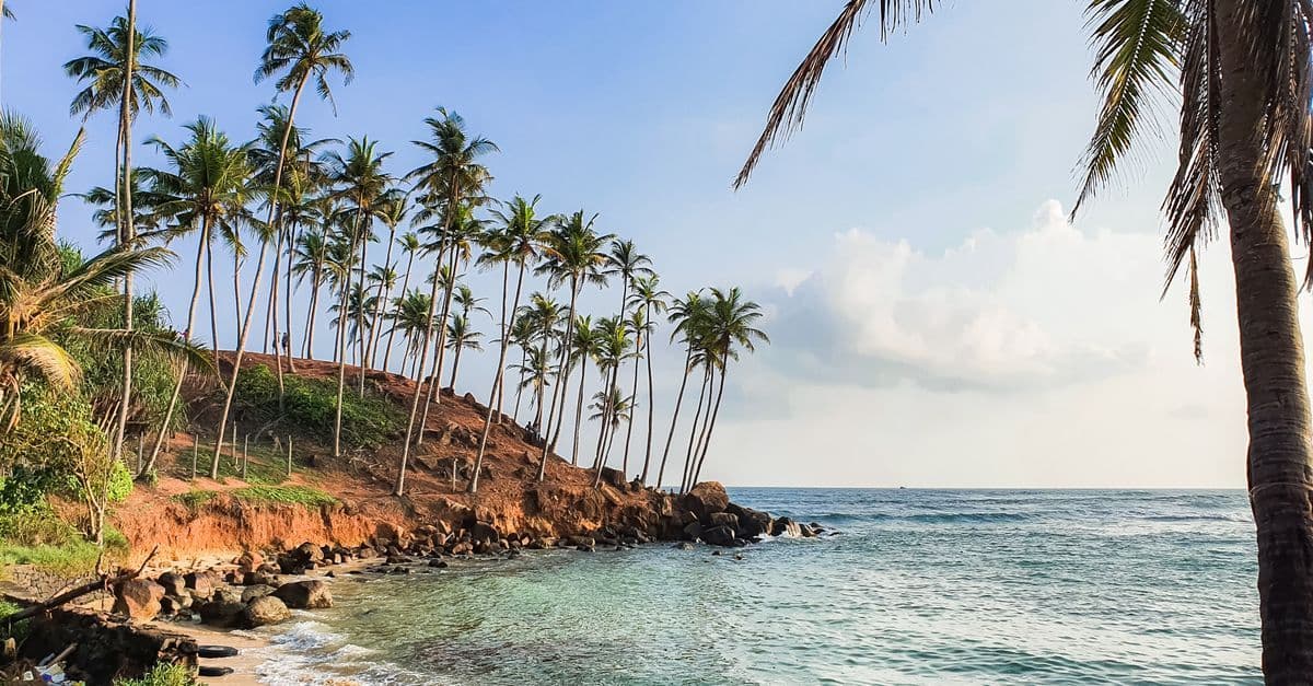 Best Time to Visit Sri Lanka: Month-by-Month Guide for UK Travellers - article thumbnail