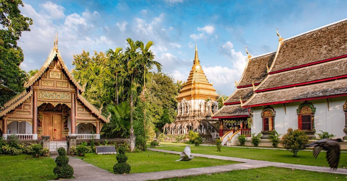 Ornate Thai temple buildings and a golden stupa stand amid palm trees on a sunny day.