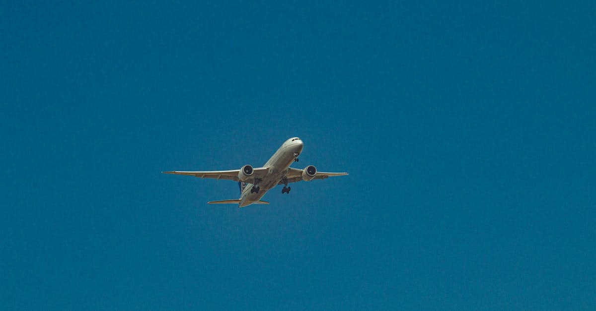 Airplane soaring against clear blue sky revealing the true cost of cheap flights from Singapore