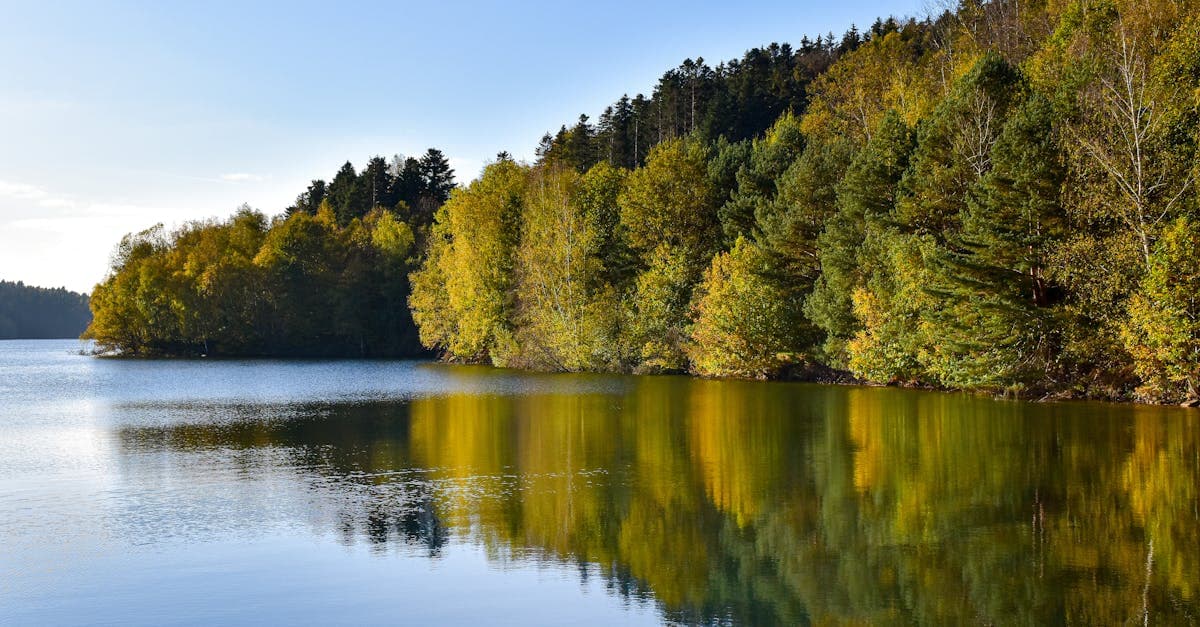 Lac de Pierre-Percée entouré de forêts automnales, maladie soudaine reconnue comme motif d'annulation de voyage