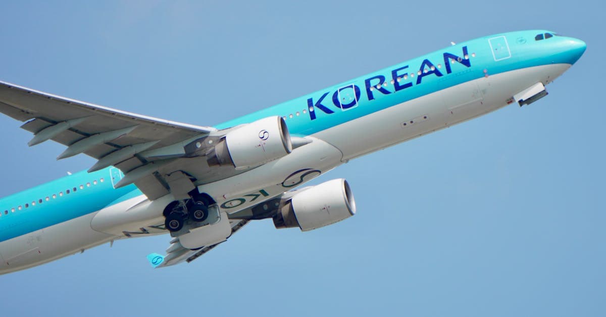 맑은 하늘을 배경으로 비행 중인 대한항공 여객기, 오사카행 항공사별 실제 요금 비교
