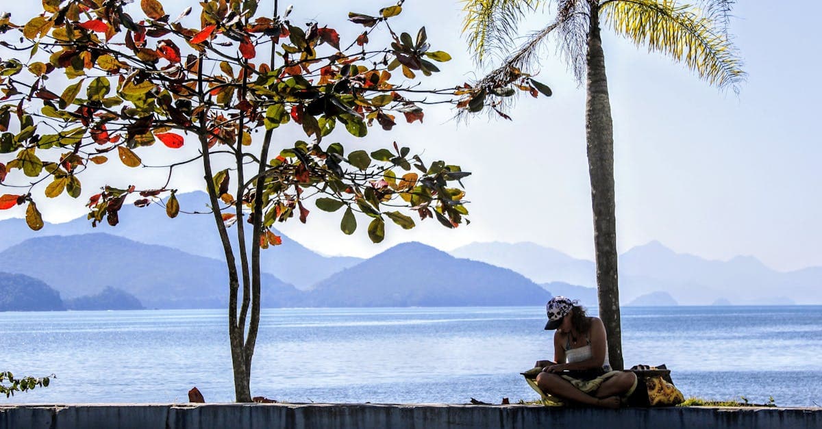 Mulher relaxando sob palmeiras na costa brasileira, avaliando infraestrutura e conectividade para viagens seguras